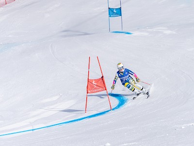 Frankreich und Österreich geben den Ton an