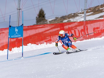 Frankreich und Österreich geben den Ton an