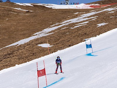 Frankreich und Österreich geben den Ton an