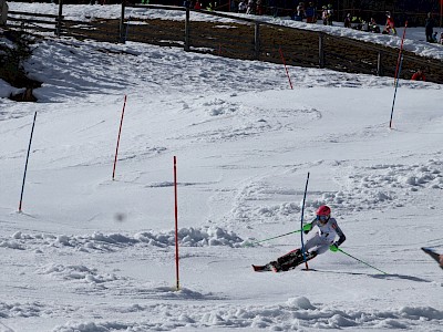 Bezirksmeisterschaft am Ganslernhang
