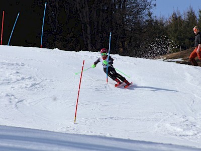 Bezirksmeisterschaft am Ganslernhang