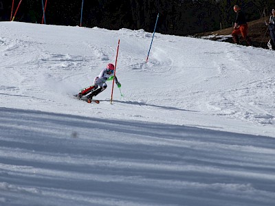 Bezirksmeisterschaft am Ganslernhang