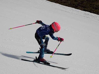 PREMIERE FÜR DIE K.S.C. RENNSPORTFAMILIE - Alpine Clubmeisterschaft auf der neuen Trainingspiste am Horn
